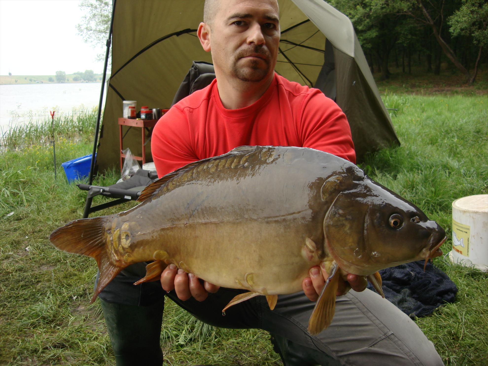 Cetariu Mai 2013 - dsc06099.JPG